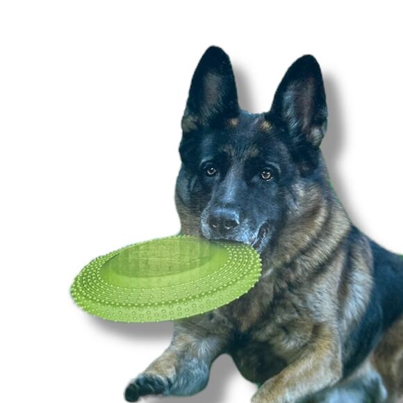 Whamo XL Gripsbee Jumbo‎ Dog Frisbee Toy Bright Green Soft Rubber Nubby Floats - Picture 2 of 3